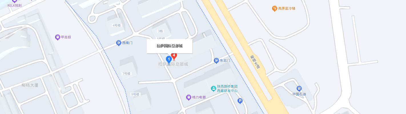 西藏公司